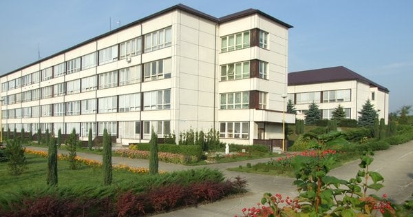 Топові школи Івано-Франківська 2025 – рейтинг від найвищої до найнижчої оцінки