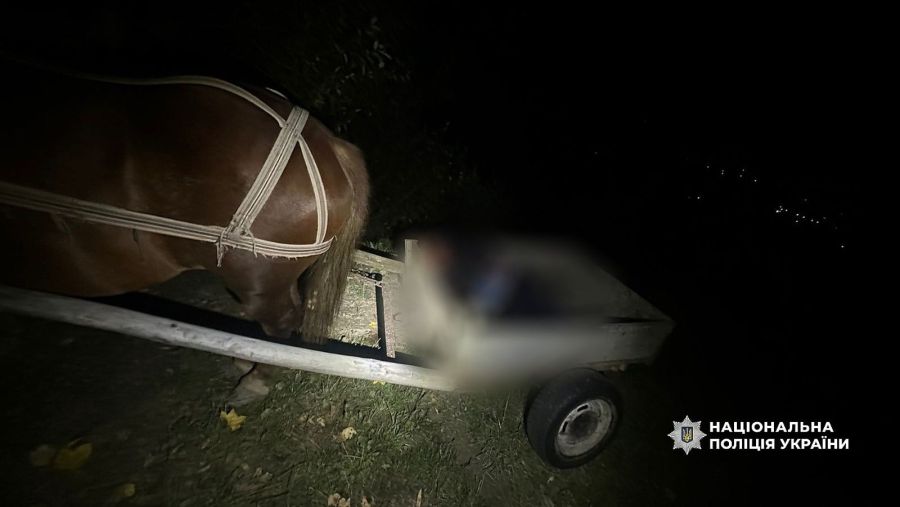 У Франківську поліція розслідує вбивство через ревнощі, вчинене сокирою