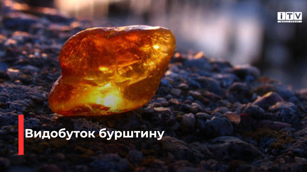 Право на видобуток бурштину в Рівненській області продали за понад 11 млн гривень
