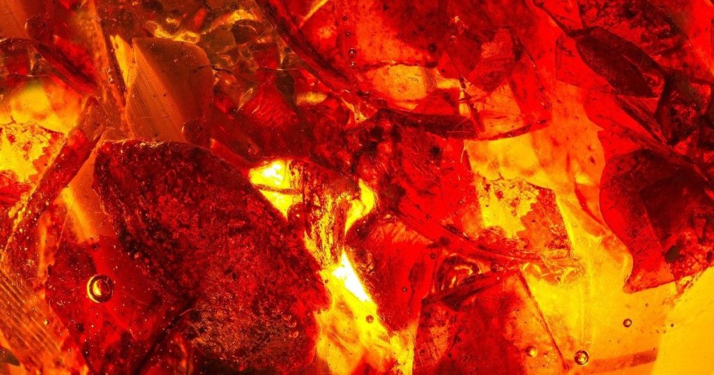 Виявлено бурштинову капсулу часу з комахами віком 112 мільйонів років