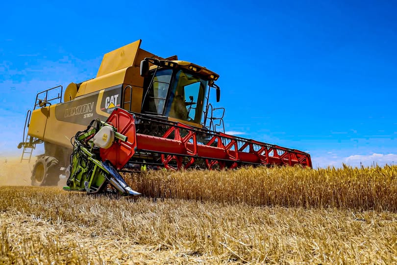 Фермери Прикарпаття зібрали більше 550 тисяч тонн зерна, продовжується сівба озимих культур