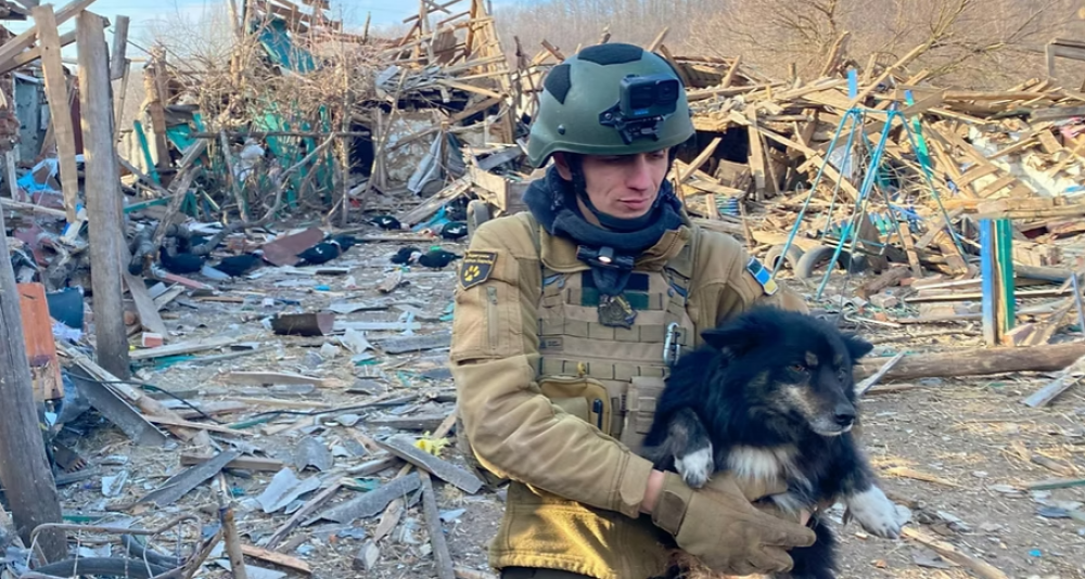 У Коломиї відбудеться фотовиставка американського автора, кошти від якої підуть на допомогу тваринам.