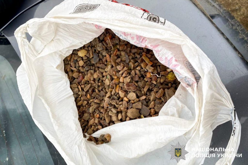 Правоохоронці конфіскували бурштин у двох мешканців Сарненського району
