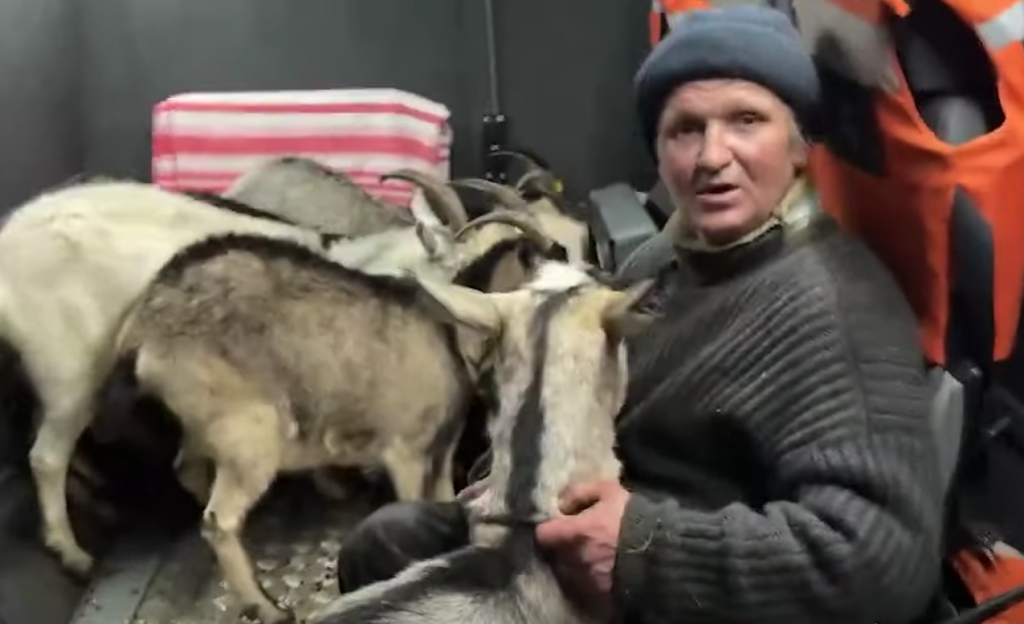 Не зміг залишити їх: на Сумщині евакуювали чоловіка з 11 козами