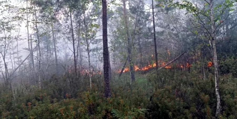 На Івано-Франківщині палали кущі: у гасінні задіяли 14 рятувальників та безпілотник