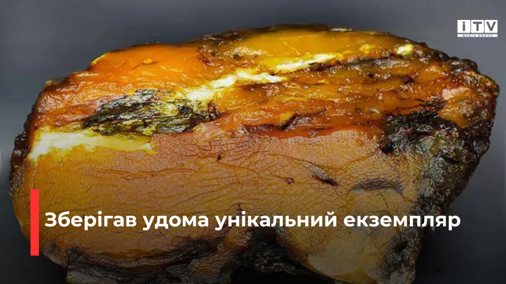 Мешканець Сарненського району вдома тримав бурштин вартістю 10 тисяч доларів