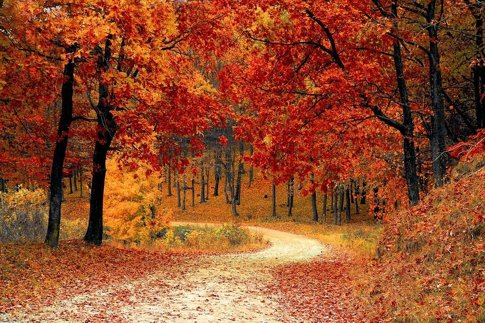 3 листопада: знаменні події, іменинники та пам’ятні дати