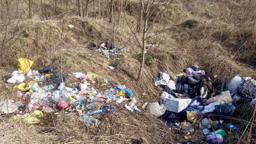 Неподалік залізничної дороги в Бурштині знайшли несанкціоноване сміттєзвалище