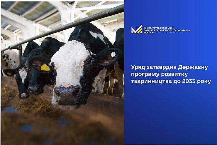 Кабінет Міністрів прийняв національну програму економічного розвитку тваринництва до 2033 року