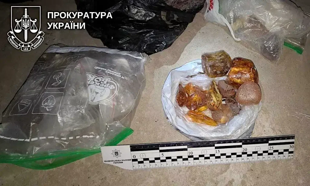 У мешканця Вараша виявили бурштин вартістю понад 1,5 млн грн: йому загрожує до 7 років ув’язнення