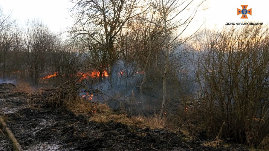 У Калуській громаді підпалювач утік від рятувальників — староста не втрутився