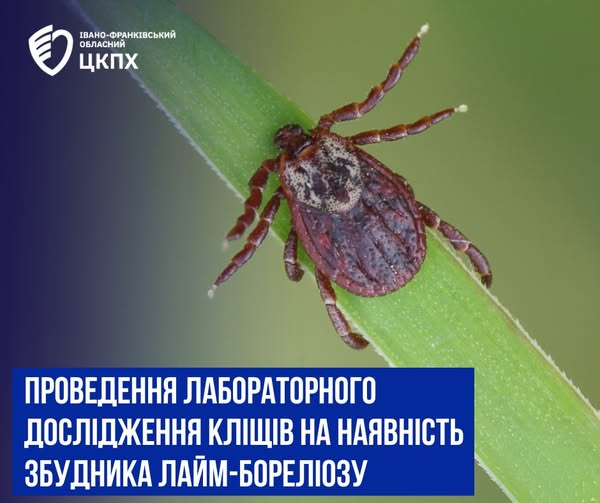 як убезпечити себе і рідних