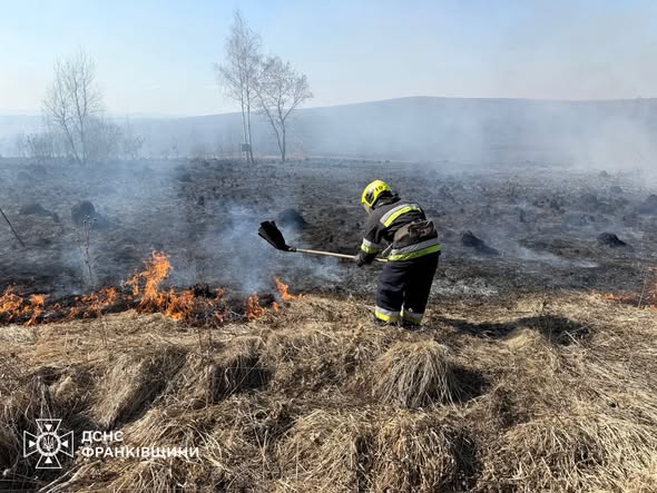 Протягом минулої доби рятувальники загасили 78 пожеж в природних екосистемах області