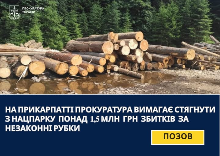 На Прикарпатті прокуратура наполягає на відшкодуванні національним парком понад 1,5 млн грн збитків через неправомірні лісозаготівлі