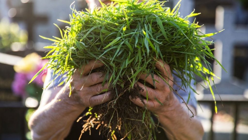 Голова Пійла просить організувати на цвинтарі місце для утилізації трави
