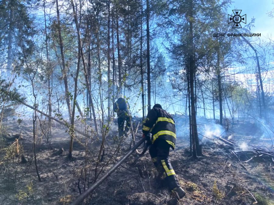 Пожежа знищила гектар лісу в Перегінській громаді