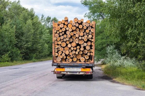 Чому керівництво Калуша не в змозі заборонити лісовозам руйнувати вулицю Залісся