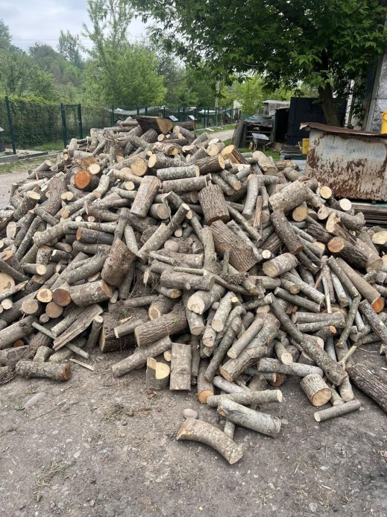 Прибрати та скласти дрова: притулку “Дім Сірка” у Калуші потрібні волонтери