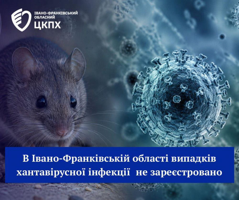 У Прикарпатті поки що не зафіксовано випадків хантавірусної інфекції