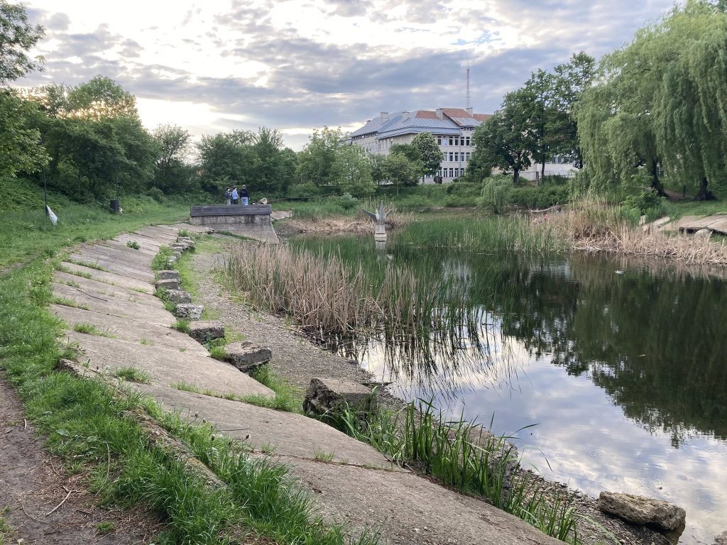 Рівень води знизився на 2 метри: сучасний вигляд озера “Кірпічка” у Франківську
