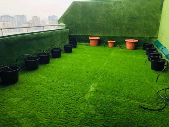 Декоративна трава CCGrass Lissome 45 2м