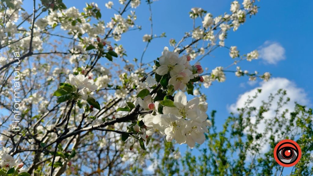 Прогноз погоди на Івано-Франківщині 5 травня