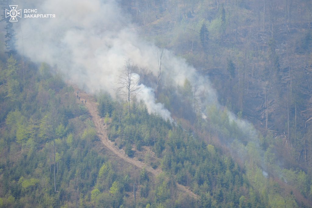 На Закарпатті вже другий день триває ліквідація великої лісової пожежі