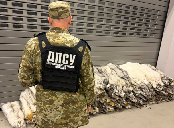 З Польщі в Івано-Франківськ намагалися провезти невказане у декларації хутро