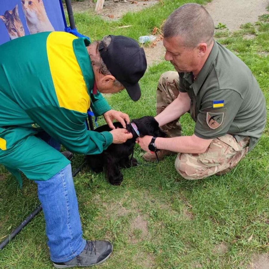 У Калуші організують безплатну вакцинацію домашніх тварин від сказу
