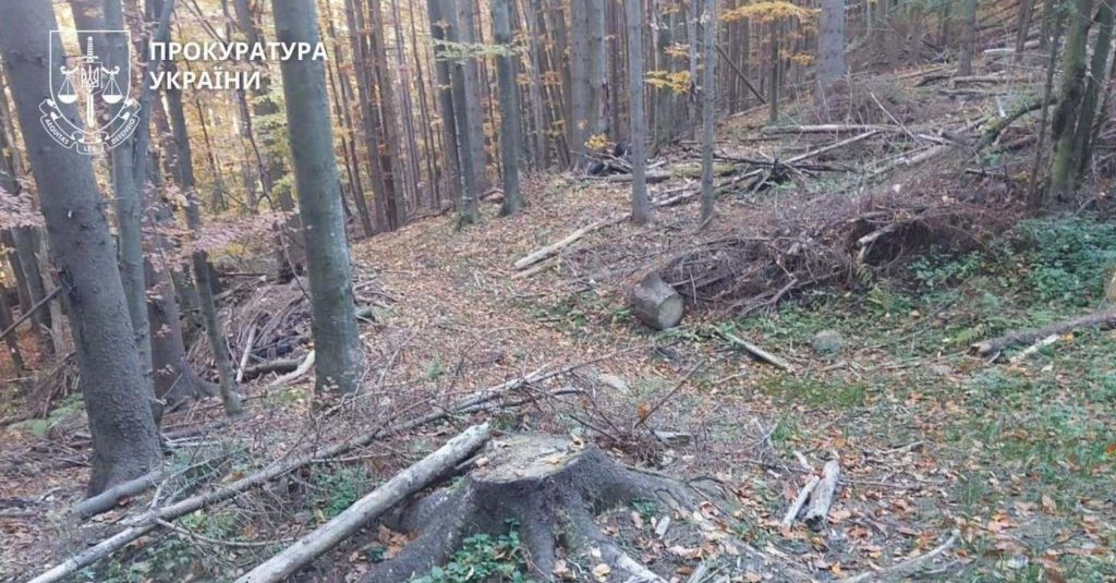 Українські ліси оштрафували на 83 млн грн за вирубку у заповідній зоні