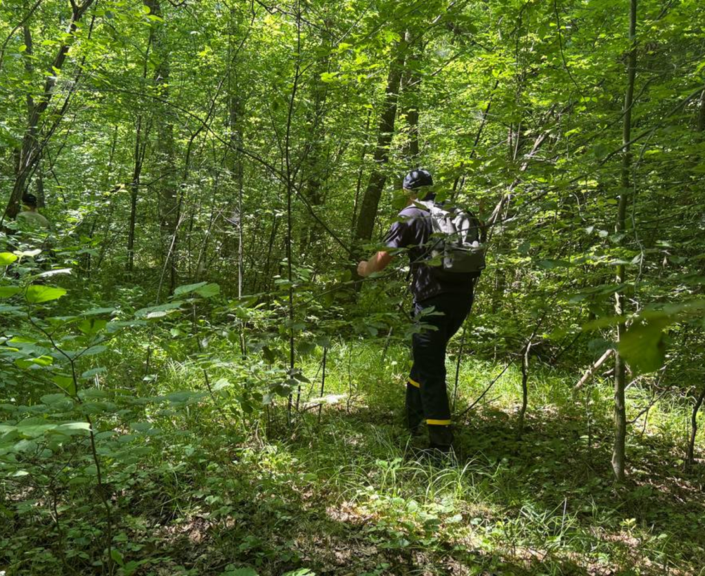В Івано-Франківській області шукають чоловіка, який зник у лісі