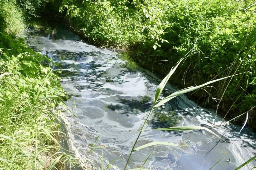 На Калущині досліджують ймовірне забруднення річки Сівки