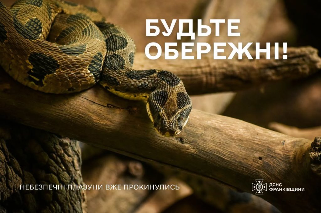 Спасателі Прикарпаття повідомляють про збільшення кількості змій