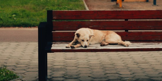 Прогноз погоди в Івано-Франківській області на 26 червня