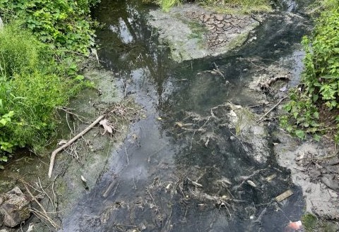 «Це ніби стічні води»: як у Бистрицю-Солотвинську в Угринівській громаді тривалий час потрапляють забруднення