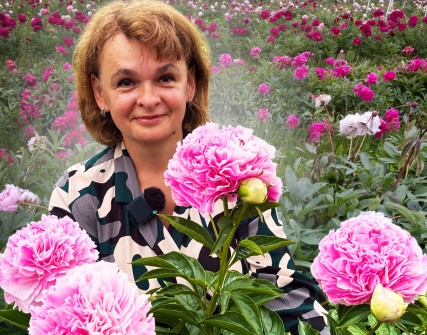 Оксана Юрченко з Івано-Франківщини культивує близько 600 видів півоній