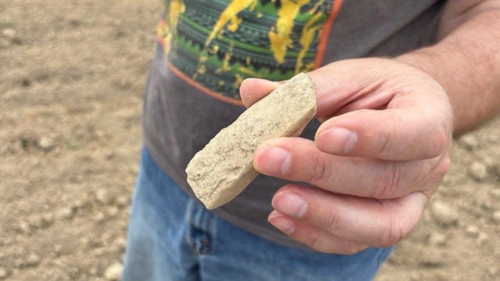 В Івано-Франківській області виявили предмети трипільської культури віком більше 5 тисяч років