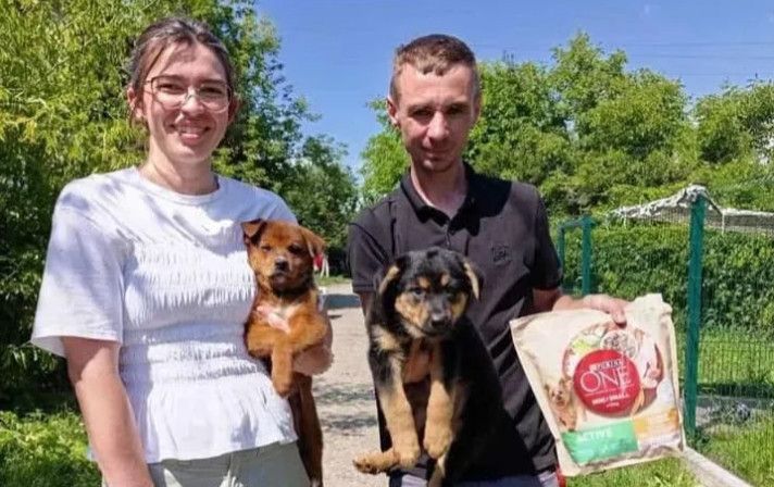У червні 26 безхазяйних тварин із калуського «Дому Сірка» отримали дім у турботливих сім’ях