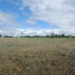 Оголошено торги з реалізації двох земельних ділянок у промисловій зоні Калуша