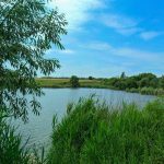 Прогноз погоди на 15 липня в Івано-Франківській області