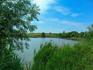 У фермерів на Прикарпатті відбирають ставок площею більше 1000 квадратних метрів
