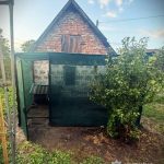 У Львові 43-річний чоловік жорстоко вбив вівчарку Барона ножем та вилами