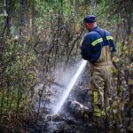Пожежу в зоні відчуження Чорнобиля загасили рятувальники