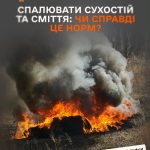 Чому не слід палити суху траву