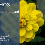 Прогноз метеоумов для Івано-Франківська та регіону на 18 липня 2026 року
