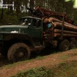 На Івано-Франківщині двох чоловіків судитимуть за транспортування незаконно вирубаного заповідного лісу на суму понад 2 млн грн