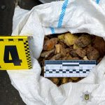 Поліція конфіскувала десятки кілограмів бурштину на Рівненщині