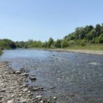 Виявлення бактерії кишкової палички в воді Бистриці