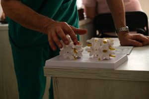 В Івано-Франківську лікарі застерігають від ризику травматичних падінь з дерев