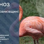 Метеозведення для Івано-Франківська і регіону на 27 липня 2026 року